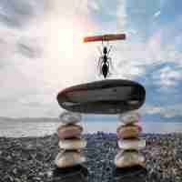 自‌适﻿应﻿布‍局​方‍式﻿